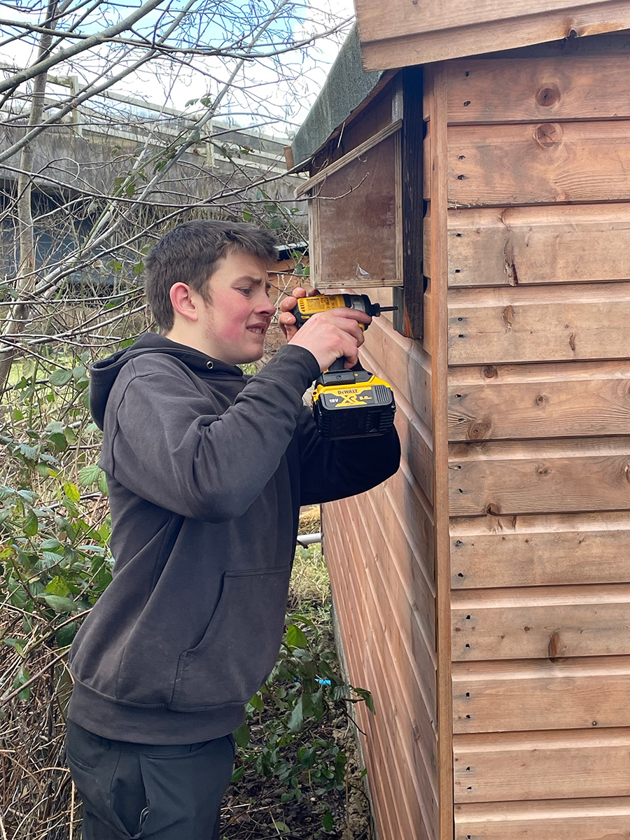 Student fixing bird box to the shed.
