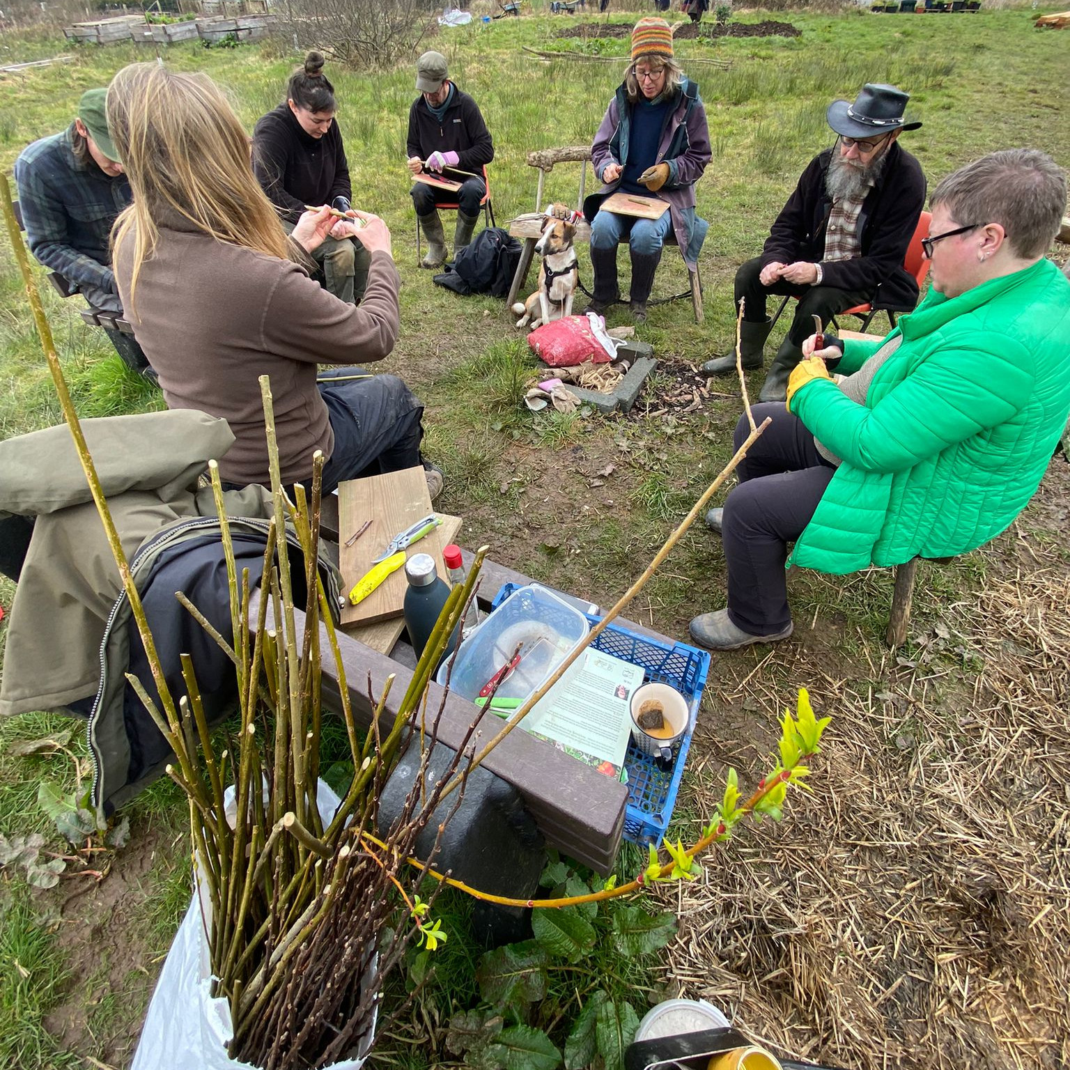 group on a grafting course