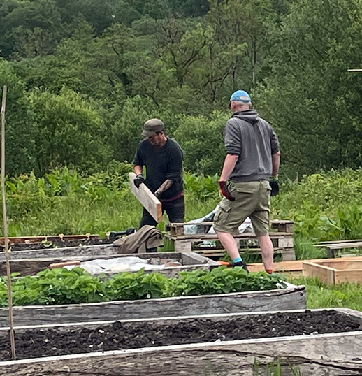 two men maintaining the raised beds in the garden