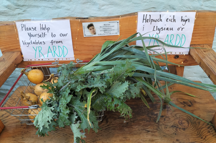 credit:Sharing our produce in Llandysul