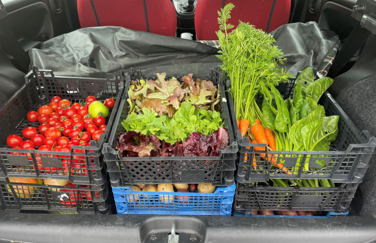 credit:Sharing our produce with Llandysul Family Centre.