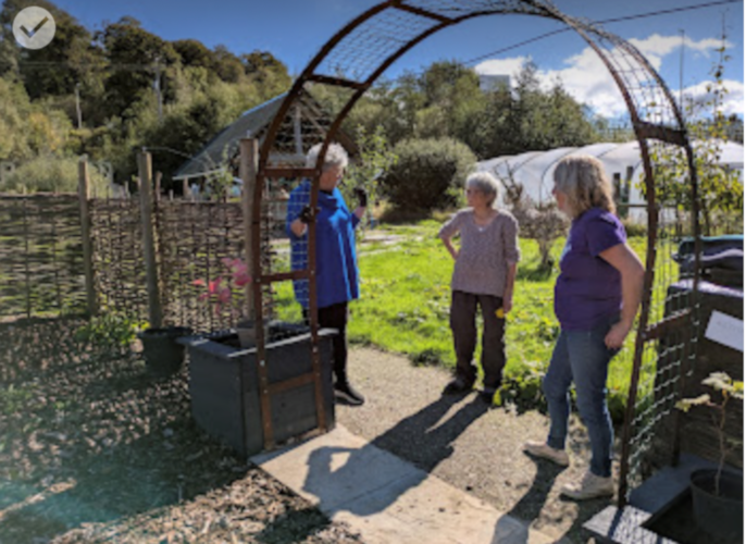 credit:Progress in the Herb Garden.