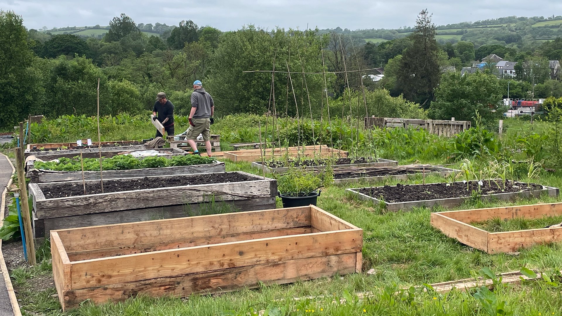 people planting raised beds in Yr Ardd